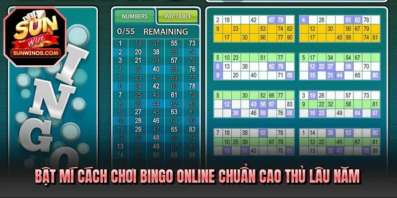 Bật mí cách chơi bingo online chuẩn cao thủ lâu năm