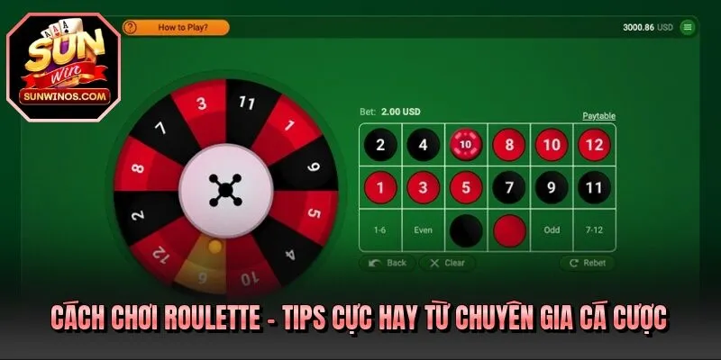 Cách Chơi Roulette
